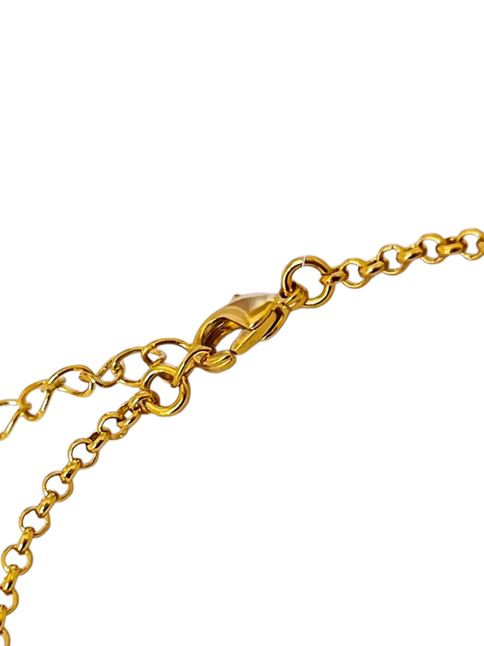 IMG-20251026-WA0060-Picsart-BackgroundRemover